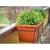 Suport metalic pentru jardiniera, Bumeta, negru, 53x20 cm GartenVIP DiyLine