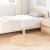 Covor Shaggy Bej 100x100 cm Poliester GartenMobel Dekor