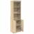 Tablou Stejar Sonoma 50x35x180 cm Lemn prelucrat GartenMobel Dekor