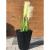 Ghiveci decorativ de flori, rotund, antracit, 29.7x33 cm, Sandy GartenVIP DiyLine
