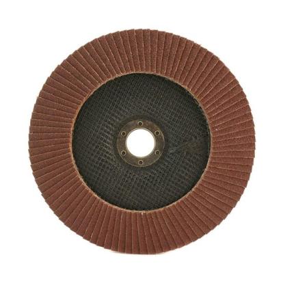 Abraziv lamelar frontal, P40, 115 mm GartenVIP DiyLine