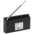 RADIO PORTABIL CU CEAS AD 1198 ADLER EuroGoods Quality