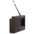 RADIO PORTABIL CU CEAS AD 1198 ADLER EuroGoods Quality