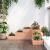 Jardinieră grădină 4 niveluri, 80,5x79x36 cm lemn masiv douglas GartenMobel Dekor