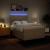Pat box spring cu saltea, crem, 160x200 cm, material textil GartenMobel Dekor