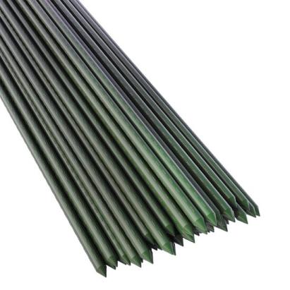 Set 20 araci/suport pentru rosii, castraveti, fasole, metal + PVC, verde, 75x0.8 cm GartenVIP DiyLine