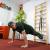 Multitrainer inSPORTline FitLine Training