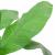 Bananier artificial 9 frunze 120 cm verde GartenMobel Dekor