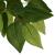 Arbore ficus artificial 378 de frunze 80 cm verde GartenMobel Dekor