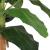 Bananier artificial 19 frunze 180 cm verde GartenMobel Dekor