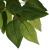Arbore ficus artificial 1260 de frunze 200 cm verde GartenMobel Dekor