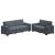 Set de canapele cu perne, 2 piese, gri închis, catifea GartenMobel Dekor