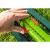 Aspersor oscilant cu 18 duze de pulverizare Verto 15G772 HardWork ToolsRange