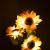 LAMPA SOLARA DECORATIVA FLOAREA SOARELUI REBEL EuroGoods Quality