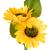 LAMPA SOLARA DECORATIVA FLOAREA SOARELUI REBEL EuroGoods Quality