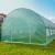 Solar Gradina 10 mp tip Sera pentru Legume, Dimensiuni 4x2.5x2 m, Folie Verde 140g/mp, Filtru UV4