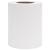 Panou de intimitate grădină, alb, 70 x 0,19 m, PVC GartenMobel Dekor