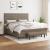 Pat box spring cu saltea, gri taupe, 160x200 cm material textil GartenMobel Dekor