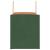 Saci de hârtie 250 buc cu mânere verde 32x22x24 cm GartenMobel Dekor