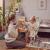 SCAUN DE MASA KINDERKRAFT DINNLY, GREY SuperHeroes ToysZone