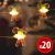 Șir de lumini LED - formă de acadele baston  - 2,2 metri - 20 LEDuri - alb cald - 2 x AA Best CarHome