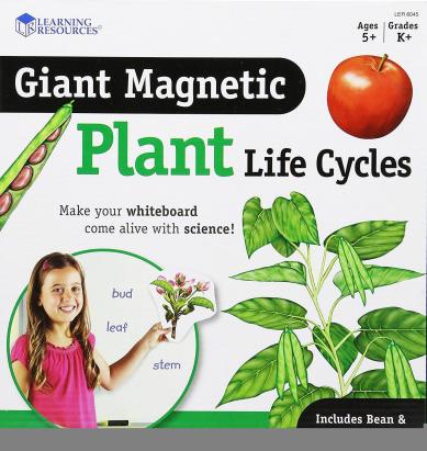 Ciclul vietii plantei - set magnetic PlayLearn Toys