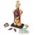 Macheta corpul uman PlayLearn Toys
