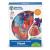 Sablon corp uman - Inima PlayLearn Toys