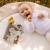 Carticica pentru bebelusi - Koala PlayLearn Toys