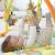 Salteluta de joaca  - Prietenii somnorosi PlayLearn Toys