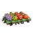 Fructe solare cu picioare - 4 tipuri - 2 LED-uri albe - 8 x 17 cm Best CarHome