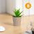 Decor plante artificiale - în ghiveci - 6 x 9 cm - 6 tipuri Best CarHome