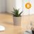 Decor plante artificiale - în ghiveci - 6 x 9 cm - 6 tipuri Best CarHome