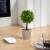 Decor plante artificiale - în ghiveci - 8 x 18 cm Best CarHome