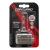 Bec Auto Xenon CARGUARD D1S 4300K Best CarHome