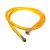 Pompa de stropit cu acumulator, Detoolz 16L FarmGarden AgroTrade