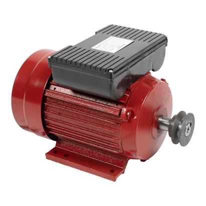 Motor electric Micul Fermier 2.2KW, 3000 rpm, carcasa fonta FarmGarden AgroTrade