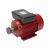 Motor electric Micul Fermier 2.5KW, 3000 rpm, carcasa fonta FarmGarden AgroTrade