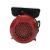 Motor electric Micul Fermier 2.5KW, 3000 rpm, carcasa fonta FarmGarden AgroTrade