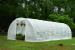 Solar/Sera  Micul Fermier 8x3x2m , polietilena, densitate 140g/mp UV4 FarmGarden AgroTrade