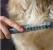 Pieptene pentru animale de companie și mașină pentru îndepărtarea părului Best CarHome