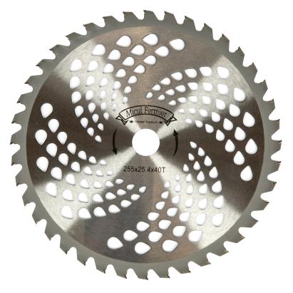 Disc motocositoare 40T Vidia 255 x 25.4 x 1mm FarmGarden AgroTrade