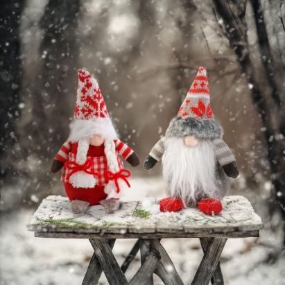 Elf scandinav de Crăciun - 8 x 14 x 20 cm - 2 tipuri Best CarHome