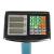 Cantar electronic Micul Fermier 300Kg afisaj dublu brat FarmGarden AgroTrade
