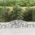 Coșuri gabion arcuite, 2 buc., 300x30x40/60 cm, fier galvanizat GartenMobel Dekor