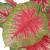 Plantă artificială Caladium cu ghiveci, 85 cm, verde și roșu GartenMobel Dekor