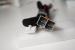 Cablaj plug & play NAM84 DSP Nakamichi NDSK4285 Chevrolet modele noi CarStore Technology