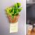 Decor din plante artificiale - magnetic - modele variate - 7 x 4,7 x 4,7 cm Best CarHome