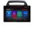 Navigatie Kia Carnival 2006-2014 Lenovo PRO 4+64 13 inch 2K android 4G DSP gps internet  KIT-carnival2006 CarStore Technology
