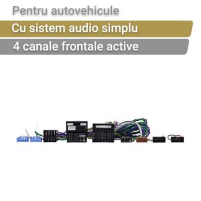 Cablu activ ZDT-BMW1 Phoenix Gold pentru BMW cu sistem de sunet de bază cu un quadlock CarStore Technology
